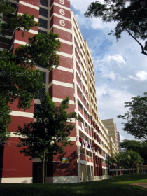 Blk 566 Hougang Street 51 (S)530566 #242412